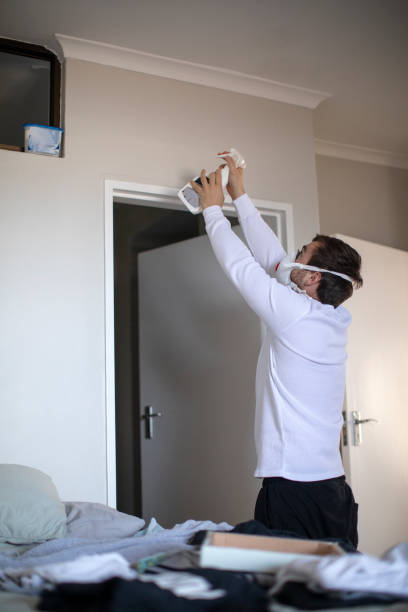 Mold Odor Removal Services in Sun City West, AZ