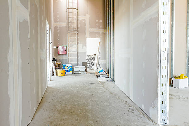 Best Mold-Related Health Consultation  in Sun City West, AZ