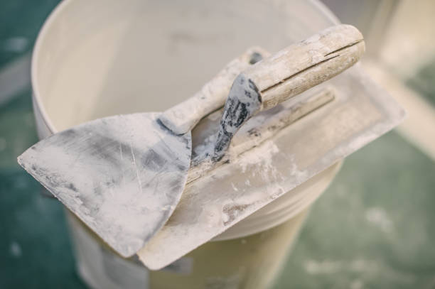 Best Mold Remediation for Healthcare Facilities  in Sun City West, AZ