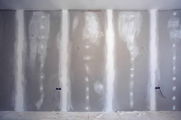 Best Post-Construction Mold Inspection  in Sun City West, AZ